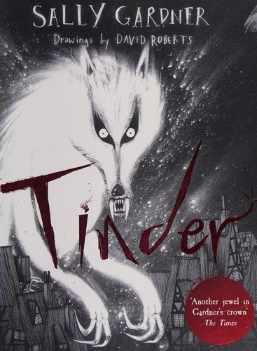 Tinder (2015, Hachette Children's Group)