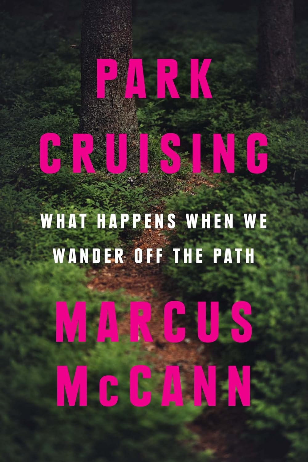 Park Cruising (Paperback, 2023, House of Anansi Press)