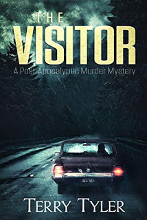 The Visitor (EBook, Terry Tyler)