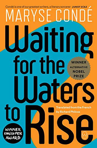 Waiting for the Waters to Rise (Paperback, 2021, World Editions)