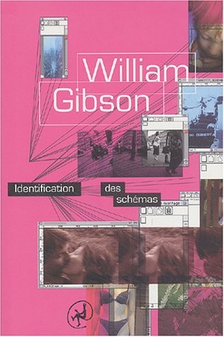 IDENTIFICATION DES SCHEMAS (Paperback, 2004, DIABLE VAUVERT)