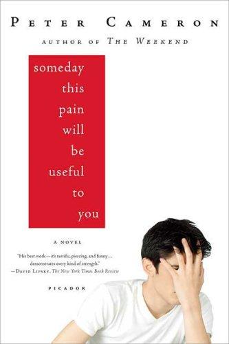 Someday this pain will be useful to you (2009, Picador)