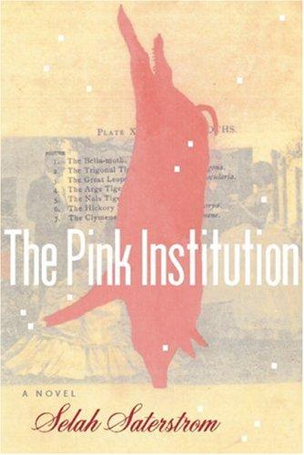 The Pink Institution (Paperback, 2004, Coffee House Press, Consortium Book Sales & Distribution)