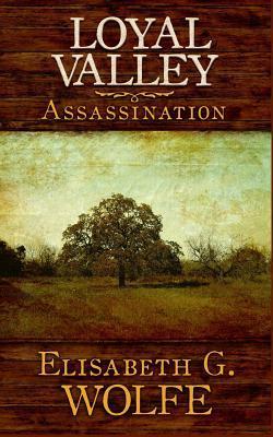 Assassination (Paperback, 2013, Createspace)