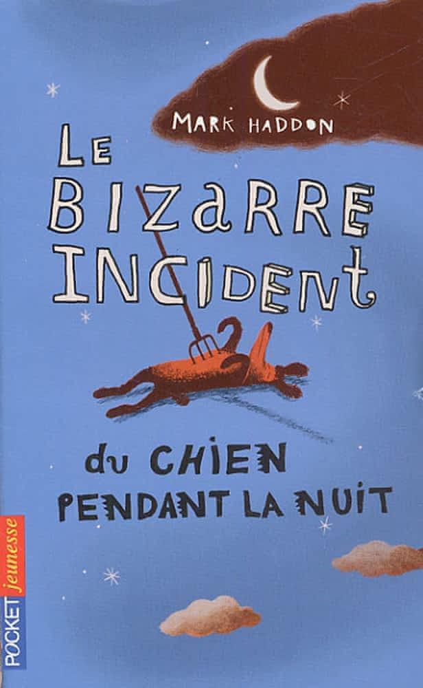 Le bizarre incident du chien pendant la nuit : roman (French language, 2005, Pocket Jeunesse)