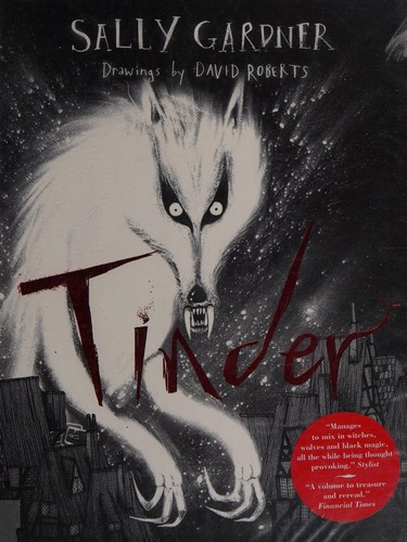 Tinder (2013, Indigo, Orion Publishing Group, Limited)