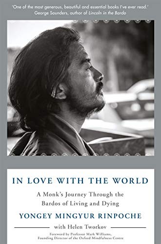 In Love with the World (Paperback, 2019, Bluebird)
