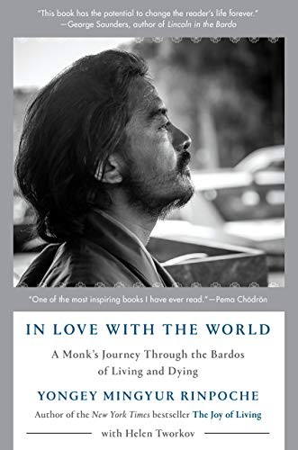 In Love with the World (Hardcover, 2019, Spiegel & Grau)