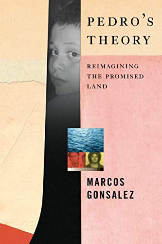 Pedro's Theory (Hardcover, 2021, Melville House)