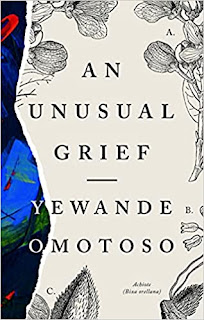 An Unusual Grief (Paperback, Cassava Republuc Press)