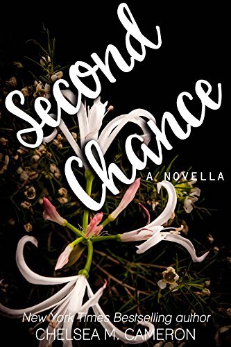 Second Chance (Paperback, 2017)