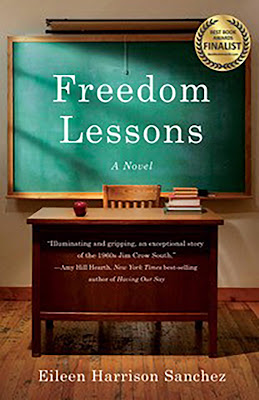 Freedom Lessons (EBook, She Writes Press)