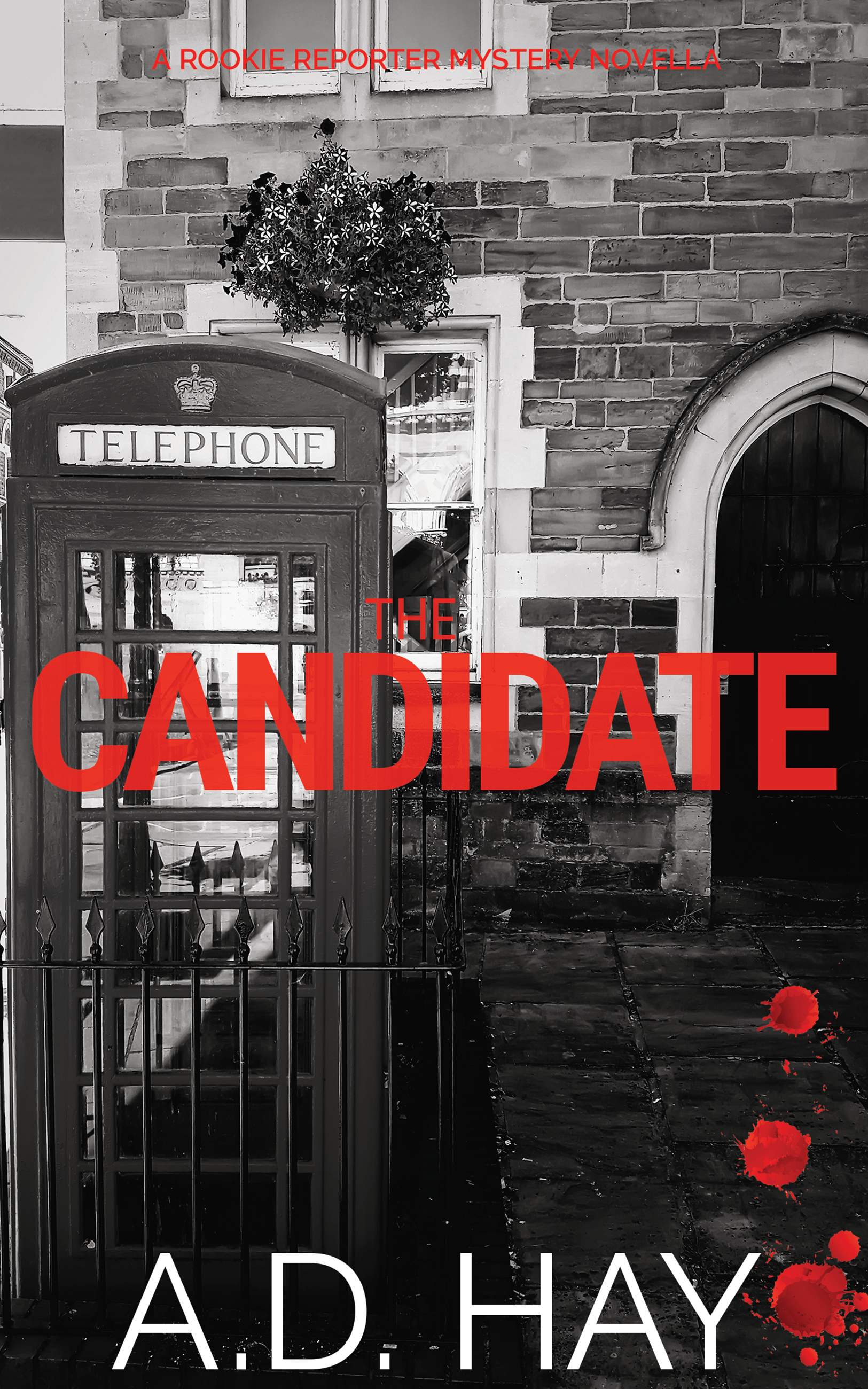 The Candidate (2021, Le Villain Press)