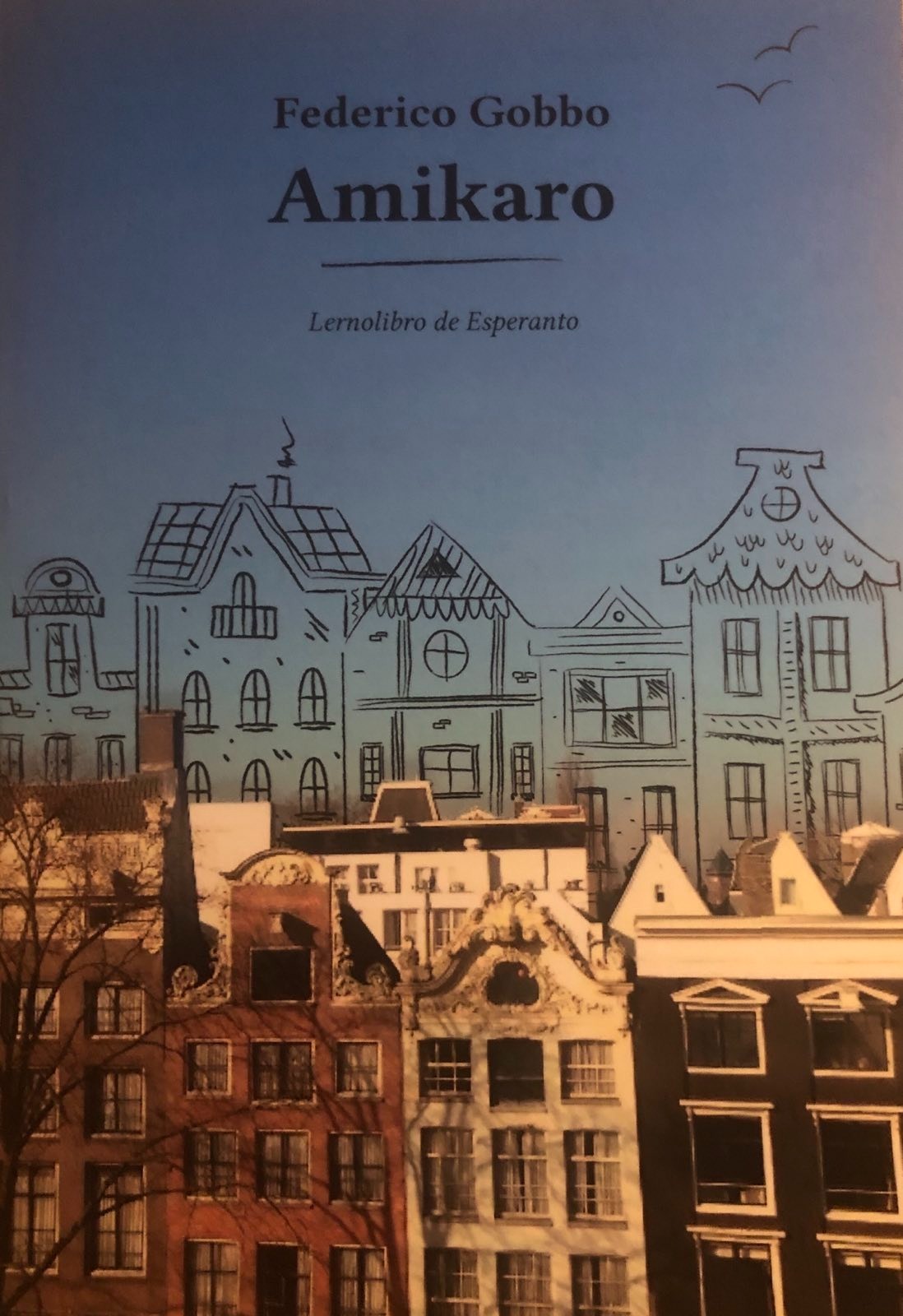 Amikaro (Esperanto language, 2019, Lulu Press, Inc.)