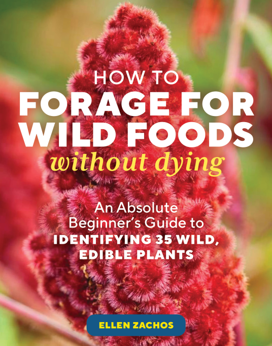 How to Forage for Wild Foods Without Dying (2023, Storey Publishing, LLC)