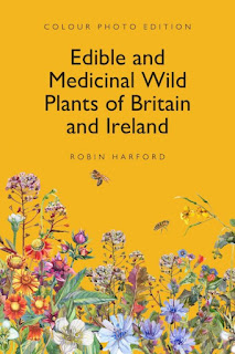 Edible and Medicinal Wild Plants of Britain and Ireland (2019, Independently Published)