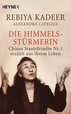 Die Himmelsstürmerin (Paperback, Deutsch language, 2007)