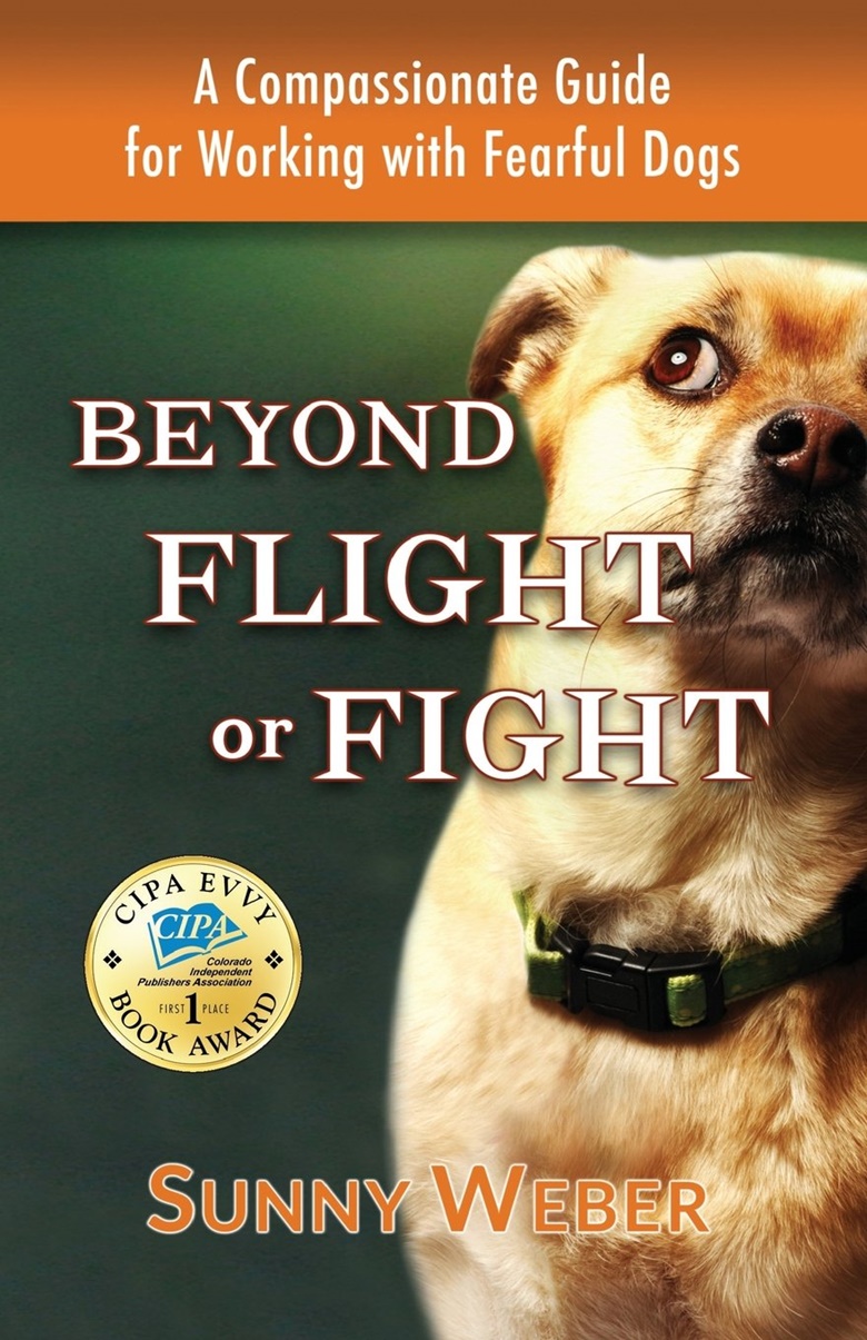 Beyond Flight Or Fight (Paperback, Pups And Purrs Press)