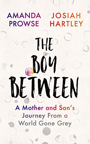 The Boy Between (AudiobookFormat, 2020, Brilliance Audio)