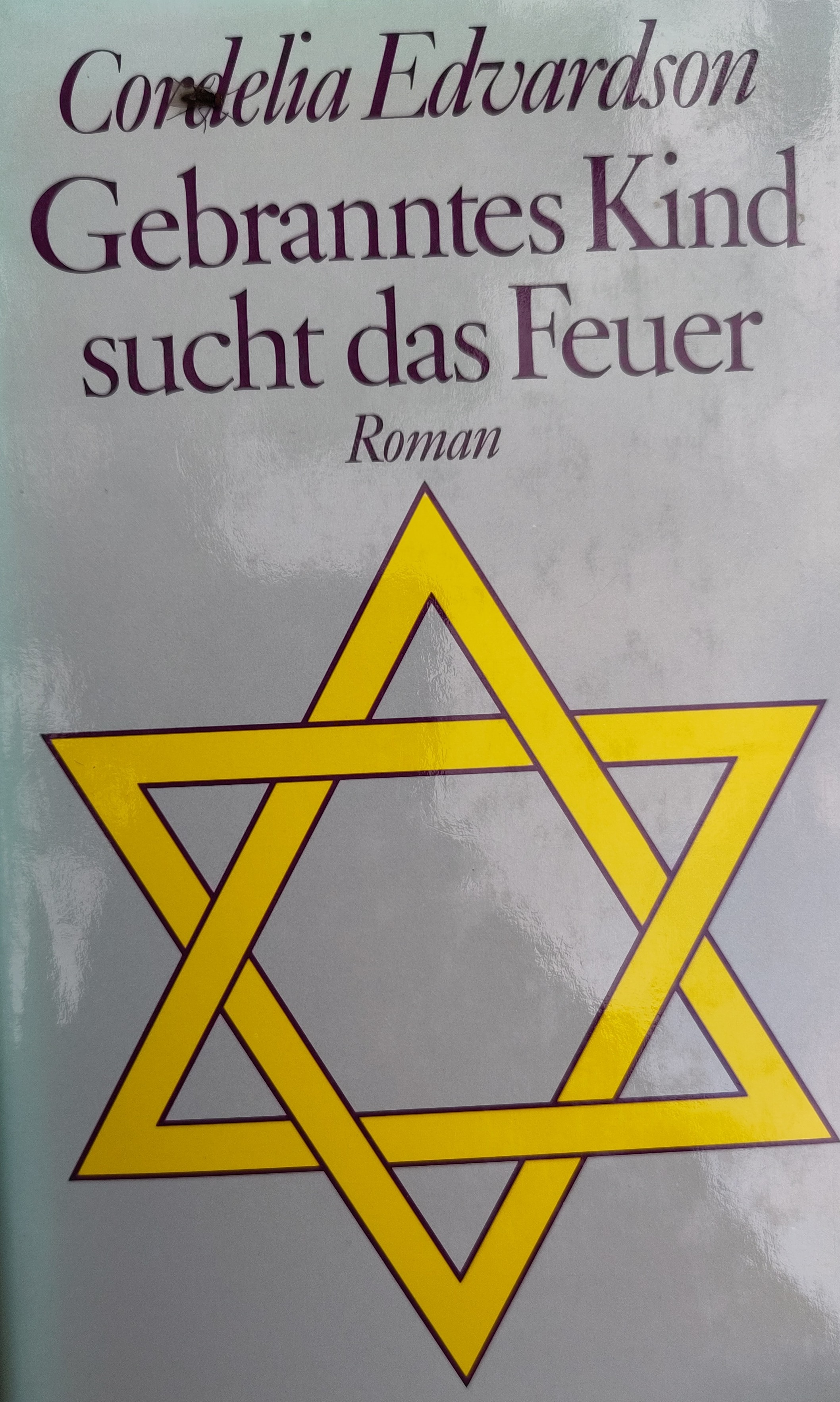 Gebranntes Kind sucht das Feuer (Hardcover, Deutsch language, 1989, Hanser)
