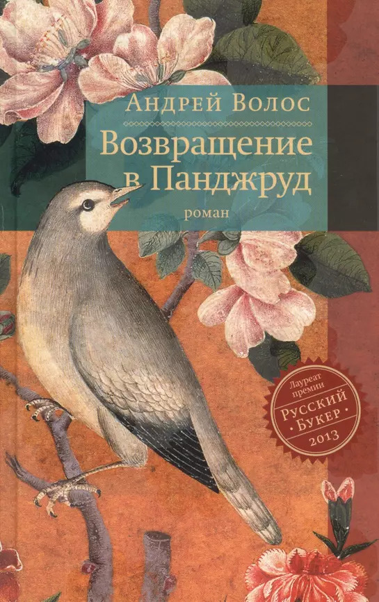 Возвращение в Панджруд (Hardcover, rusa language, 2013, ОГИ)